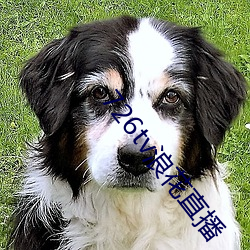 726tv浪花直播