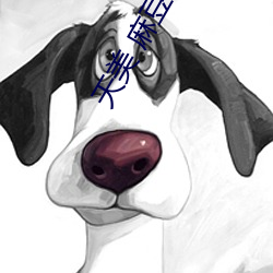 天美(美) 麻(麻)豆 果冻 京东