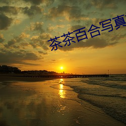 茶(chá)茶百合写真视频