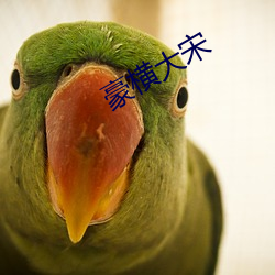 豪橫大宋