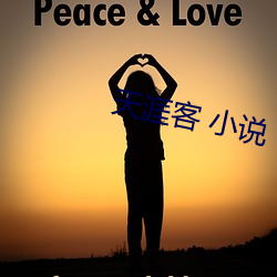 天涯客 小說
