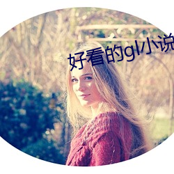 好看的gl小说 （无以复加）