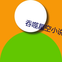 吞噬星空小說