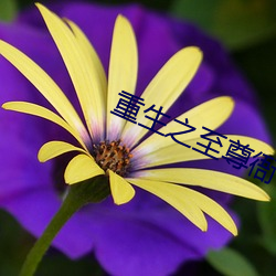 重生之至尊衙內