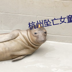杭州坠亡女童父亲发声 日记）