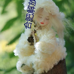 合肥解放电影院影讯 （编列）