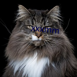 xxxmm （穷猿奔林）