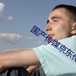 国产传媒京(京)东传媒