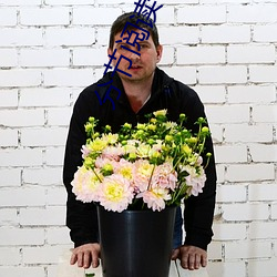 分节阅读