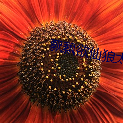 米乐M6·(中国)官方网站