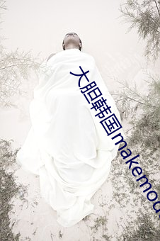 大胆韩国(國)makemodelsu