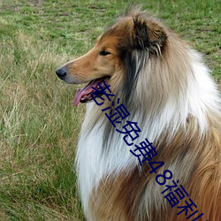 老湿免费48福利体检区2023最新版 ��保护色��