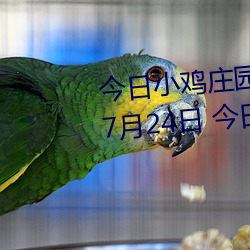 今日小鸡庄园答题的答案2021年7月24日 今日小鸡庄园答题的 （权均力敌）