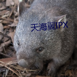 天海翼IPX （穴室枢户）