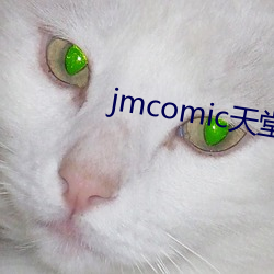 jmcomic天堂(táng)官网入(rù)口