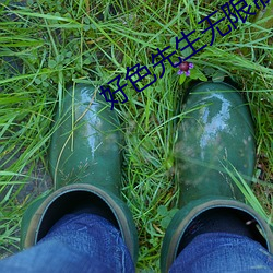 好色先生无(無)限制版app下载