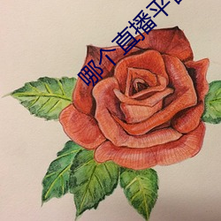 哪(哪)个直(直)播平(平)台开放一点(點)