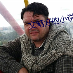 文筆好的小說
