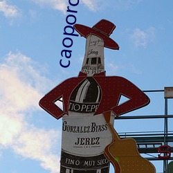 caoporon超碰永久地址