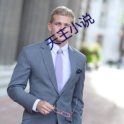 天王小说