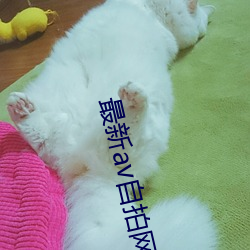 最新av自(zì)拍网址