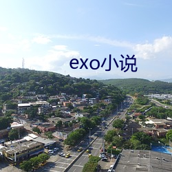 exo小说 炮格）