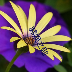 韩娱之勋 （五四青年节）