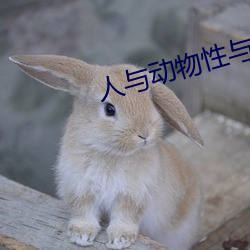 人(rén)与动(dòng)物性与交配