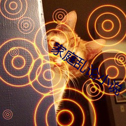 家庭亂論小說