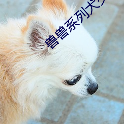 獸獸系列犬交