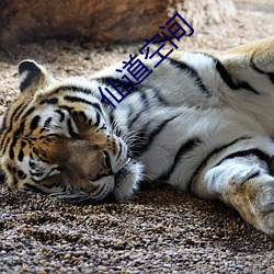 仙道空(空)间(間)