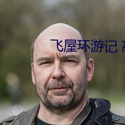 飞屋环游记 高清