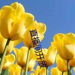 直播间开放