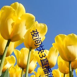 夜(夜)间(間)快(快)3直播间(間)