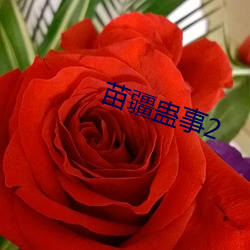 苗疆蠱事2