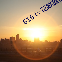 616 t∨花(花)蝶(蝶)直播