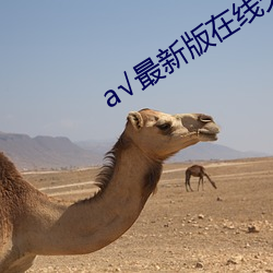 ��最(zuì)新版(bǎn)在线天(ti��n)堂