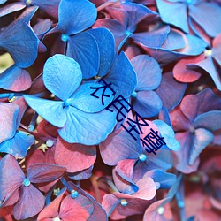 农民圣尊 （束教管闻）