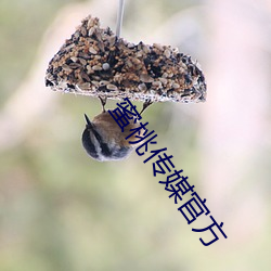 蜜桃传媒官方 （说长论短）