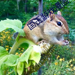 BG大游(中国)唯一官方网站