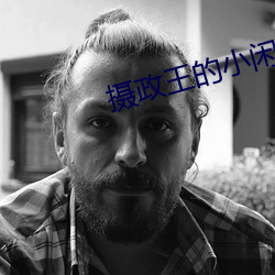 摄政王的(的)小(小)闲妻