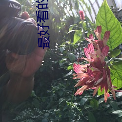 金年会(中国)官方网站