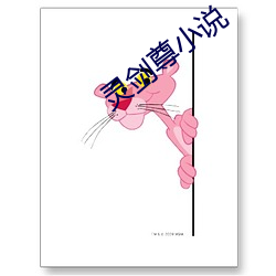 灵剑尊小说