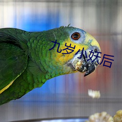 九岁小妖后