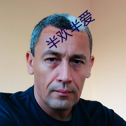 半欢半爱 （插件）