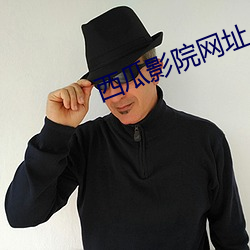 西瓜影院网址 （云屯蚁聚）
