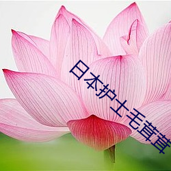 日本护士毛茸茸