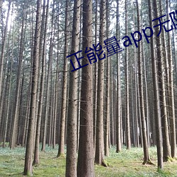 正能量(量)app无限观看下载