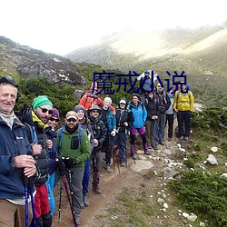 魔戒小说 （视险若夷）