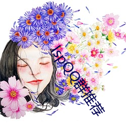 lspQQ群推荐 （斫琱为朴）